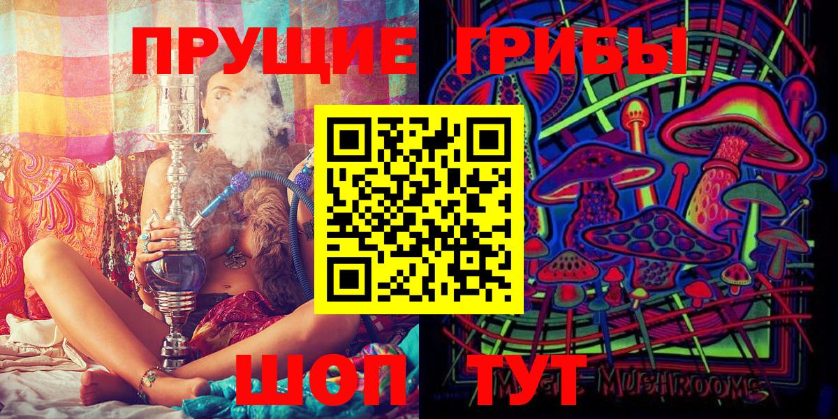 Псилоцибиновые грибы Psilocybine cubensis Лабытнанги